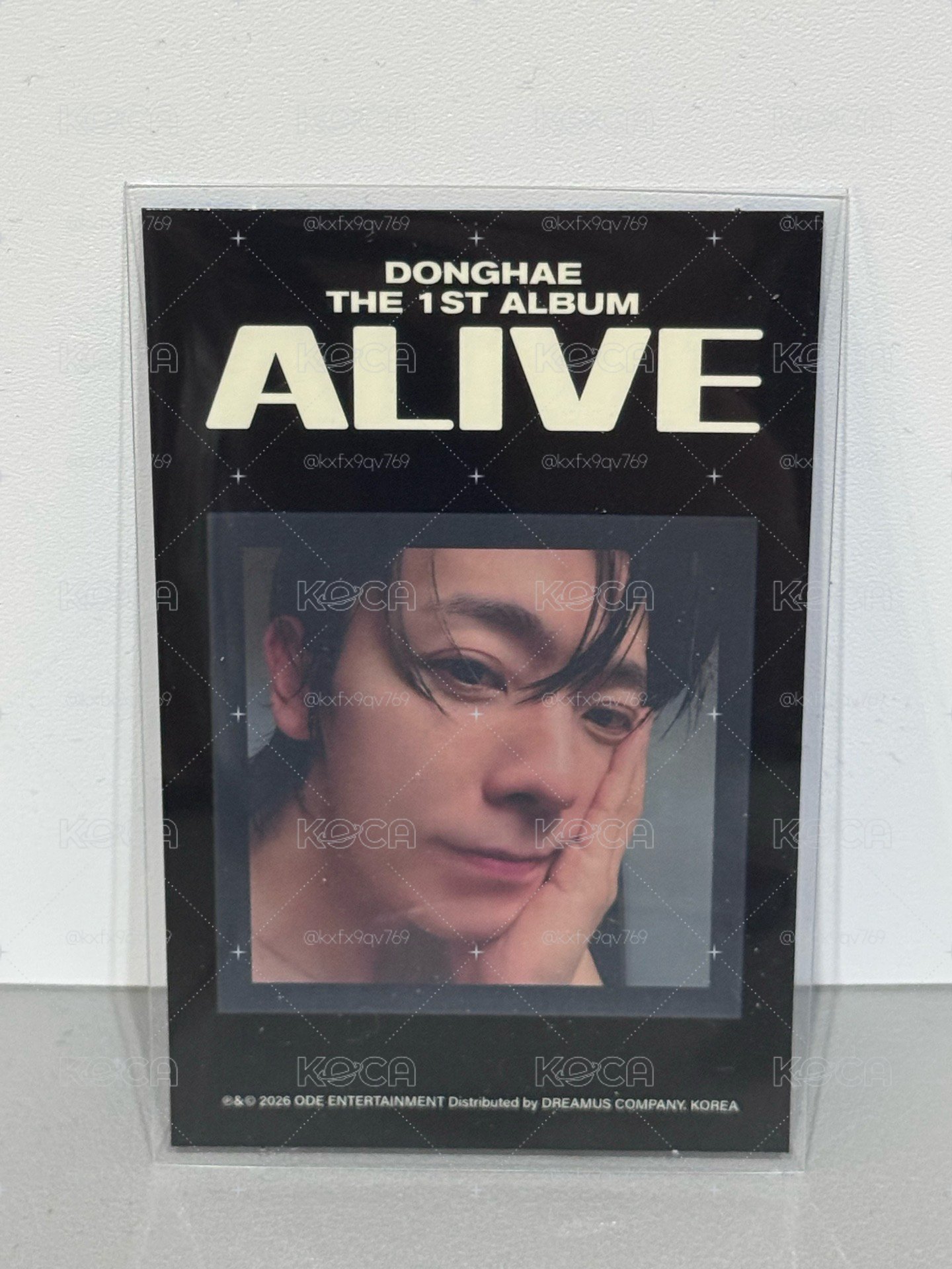 DONGHAE｜專卡