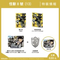 13集 特裝版