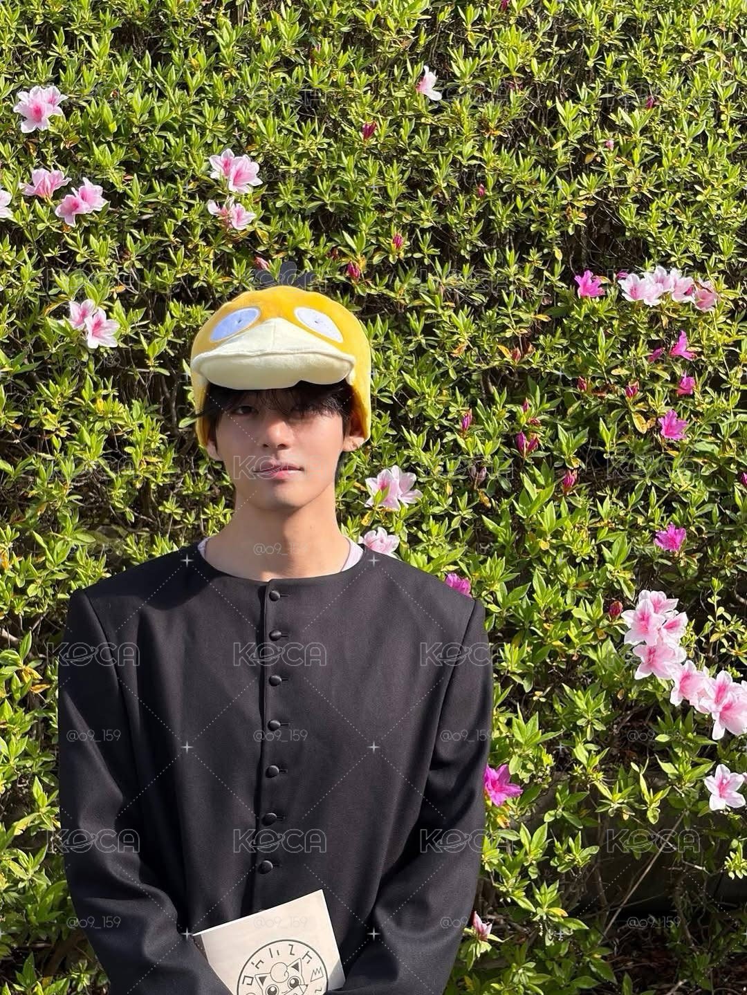 泰