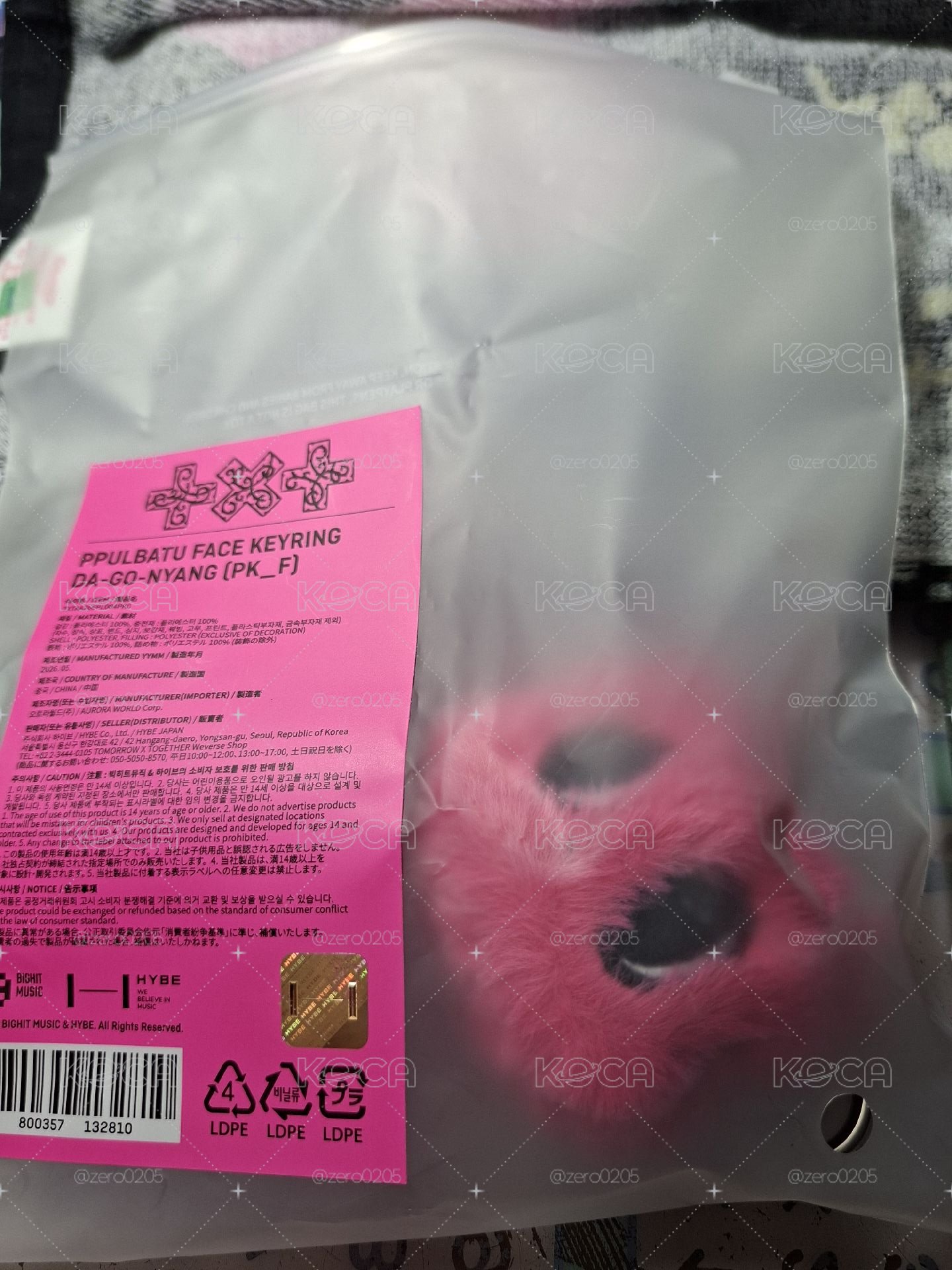 火龍果松喵大頭