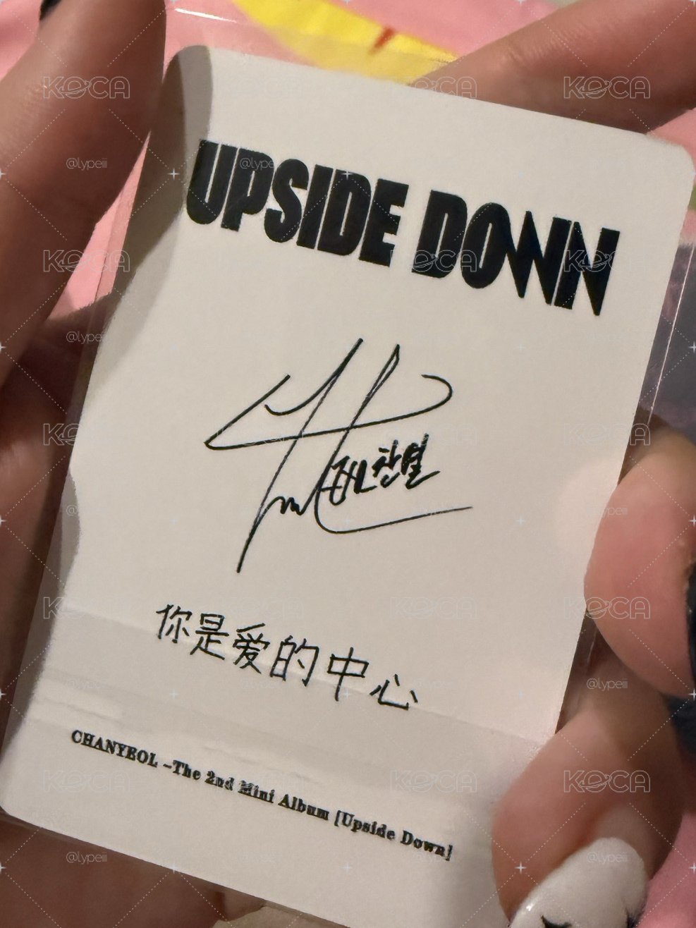 燦烈中文卡背 小廚師