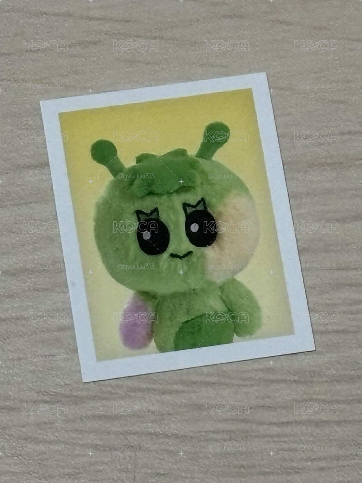 312證件照