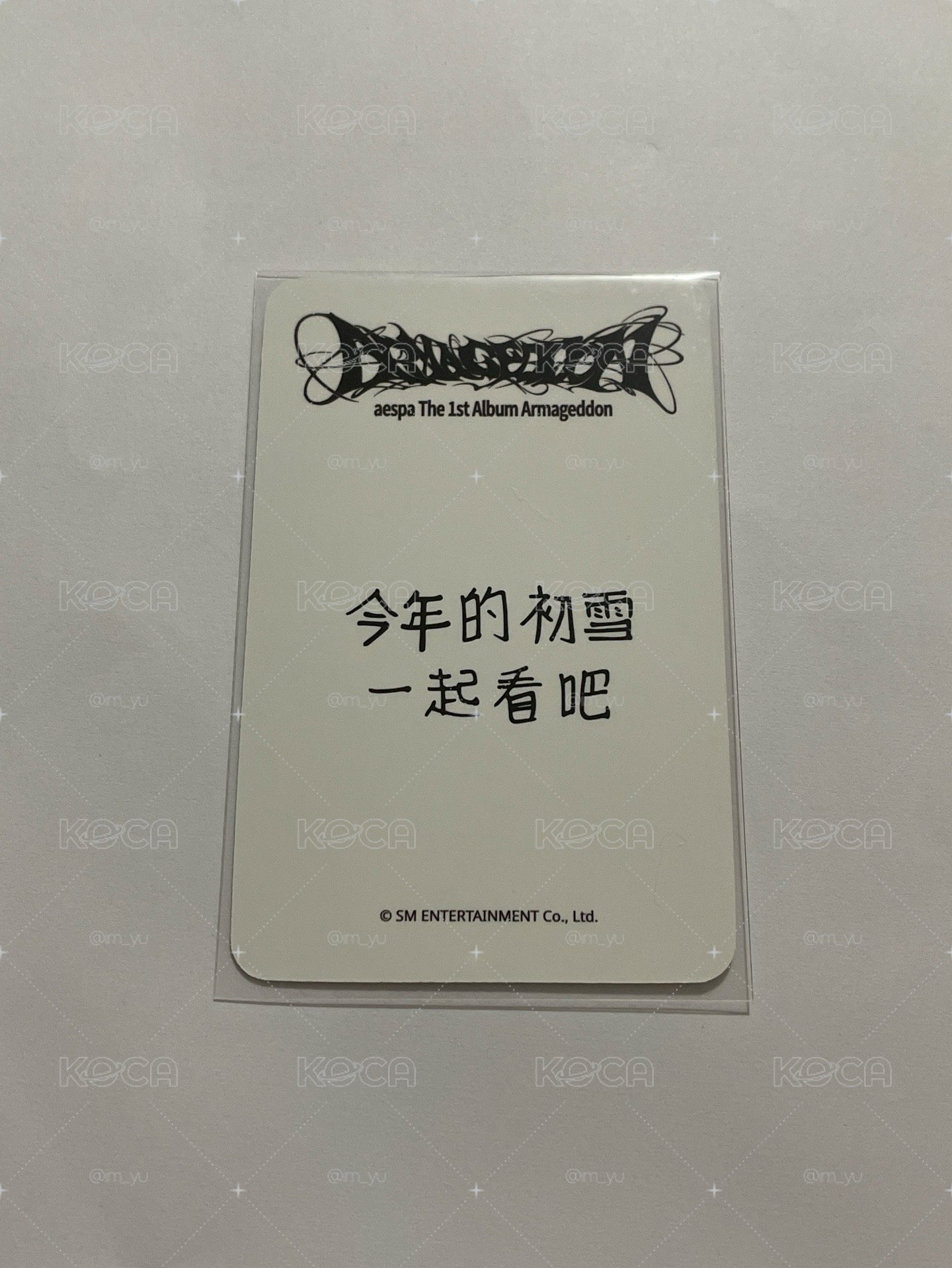 正規一 sr 特典卡 星河預售E中背冬