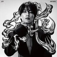 河野純喜