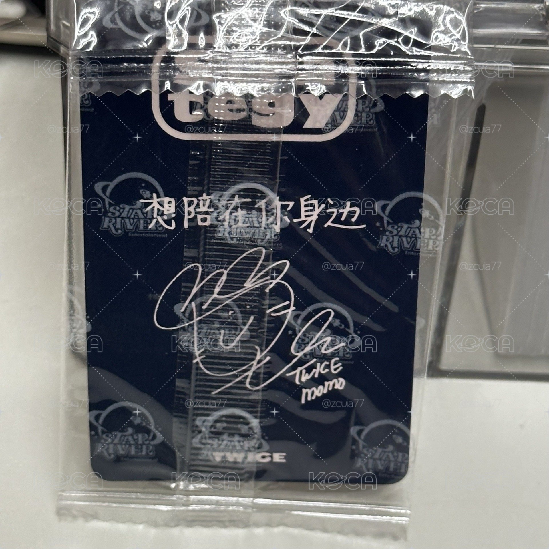 小桃狗耳中背