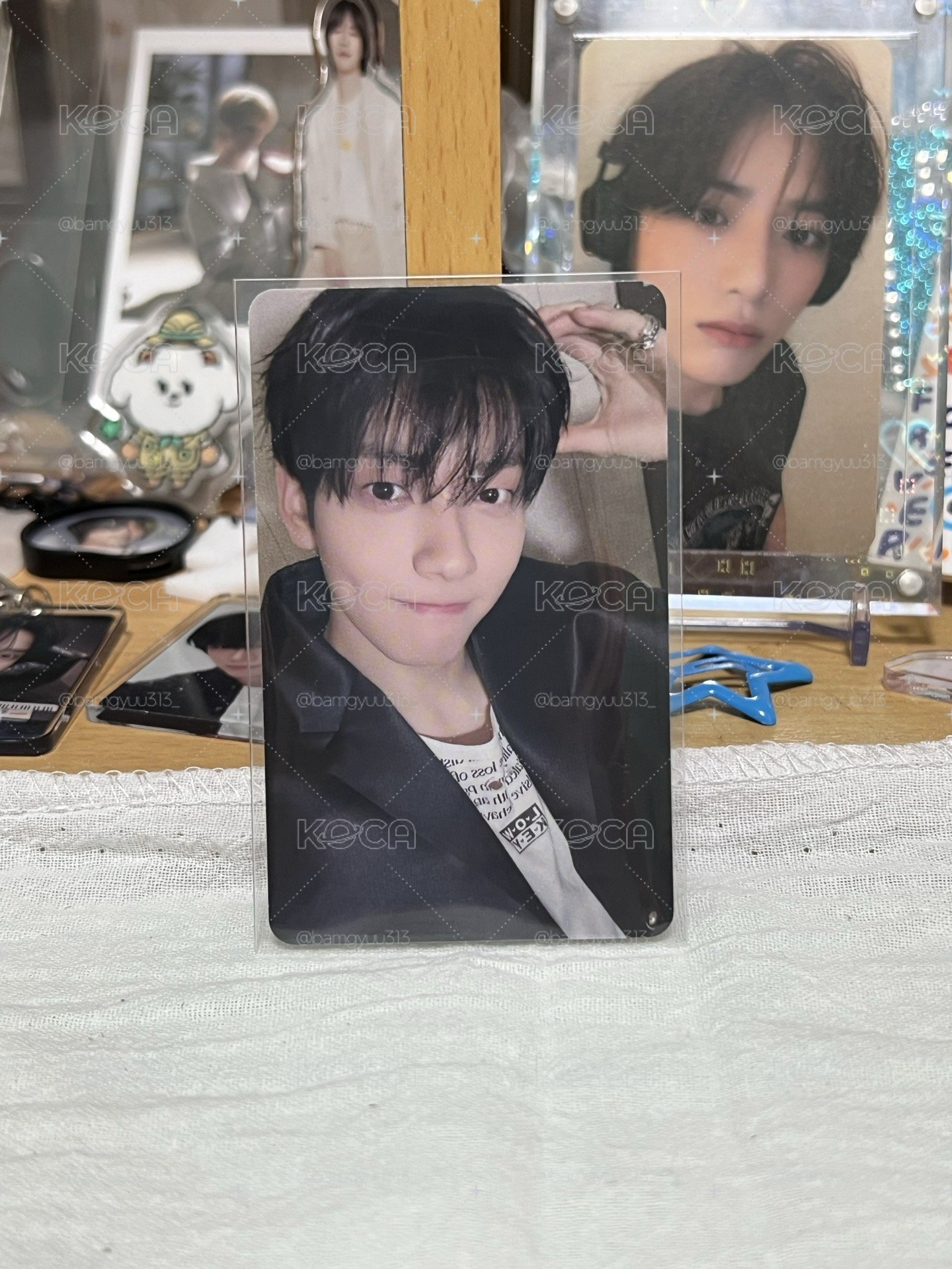 🎀小狗彬