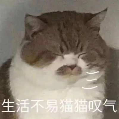 📣賣場公告