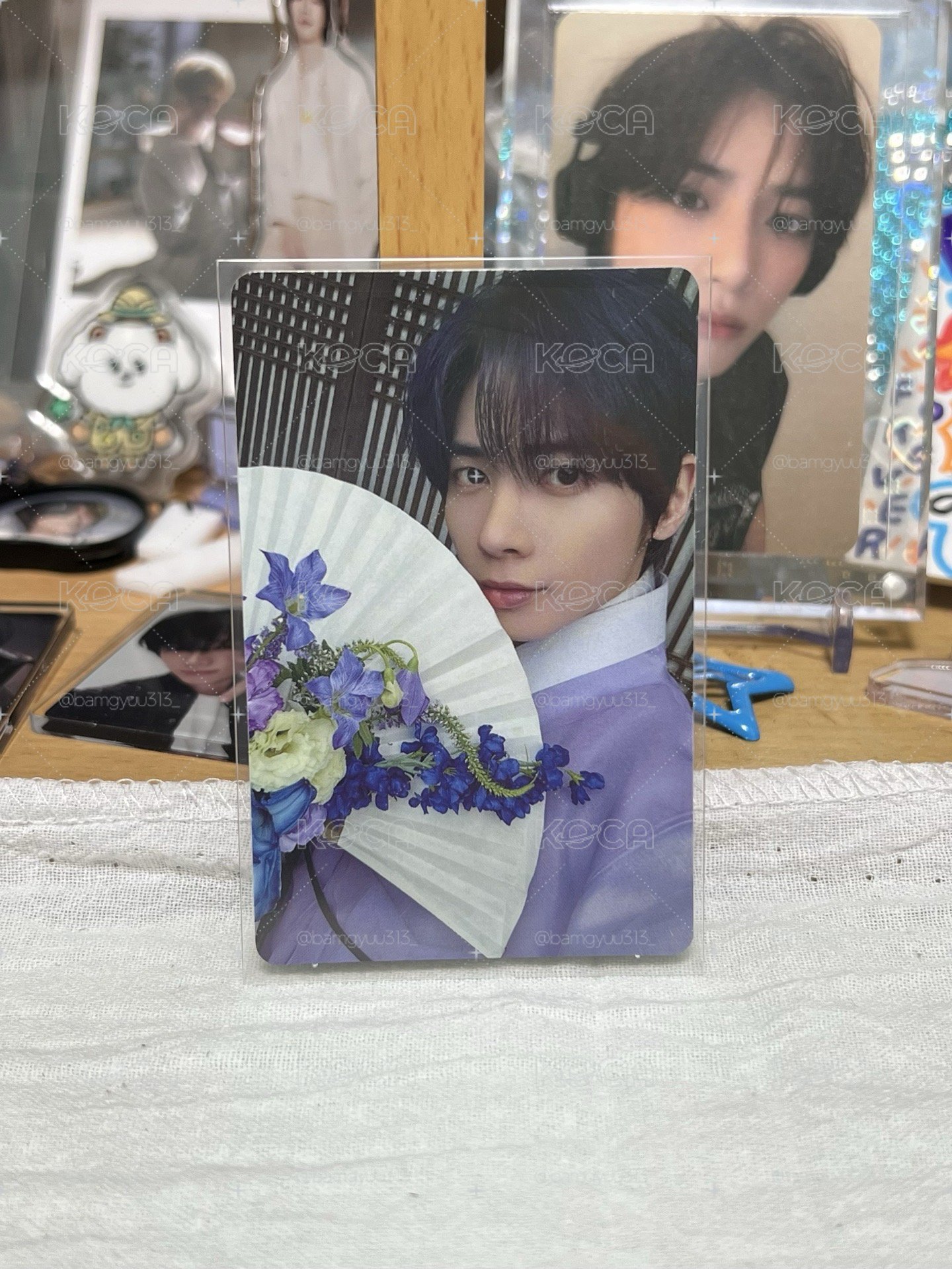 🤍小藍莓