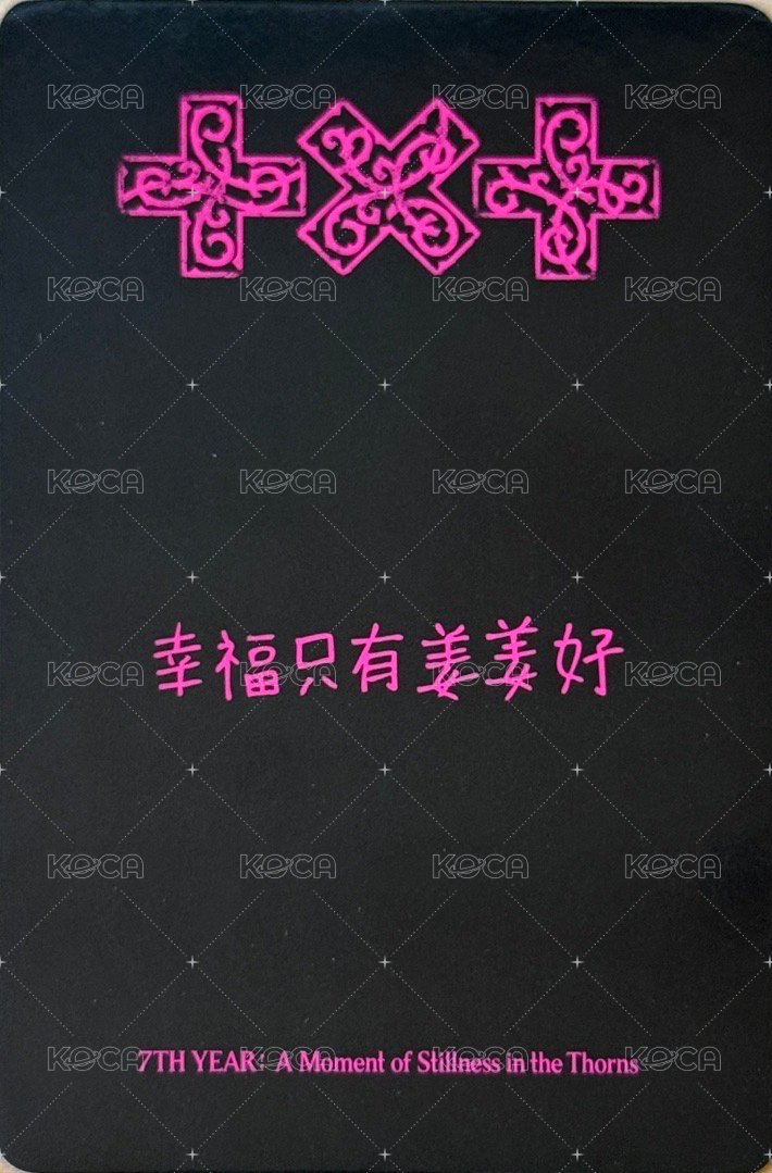 迷八 yzy pb版 特典卡  背面