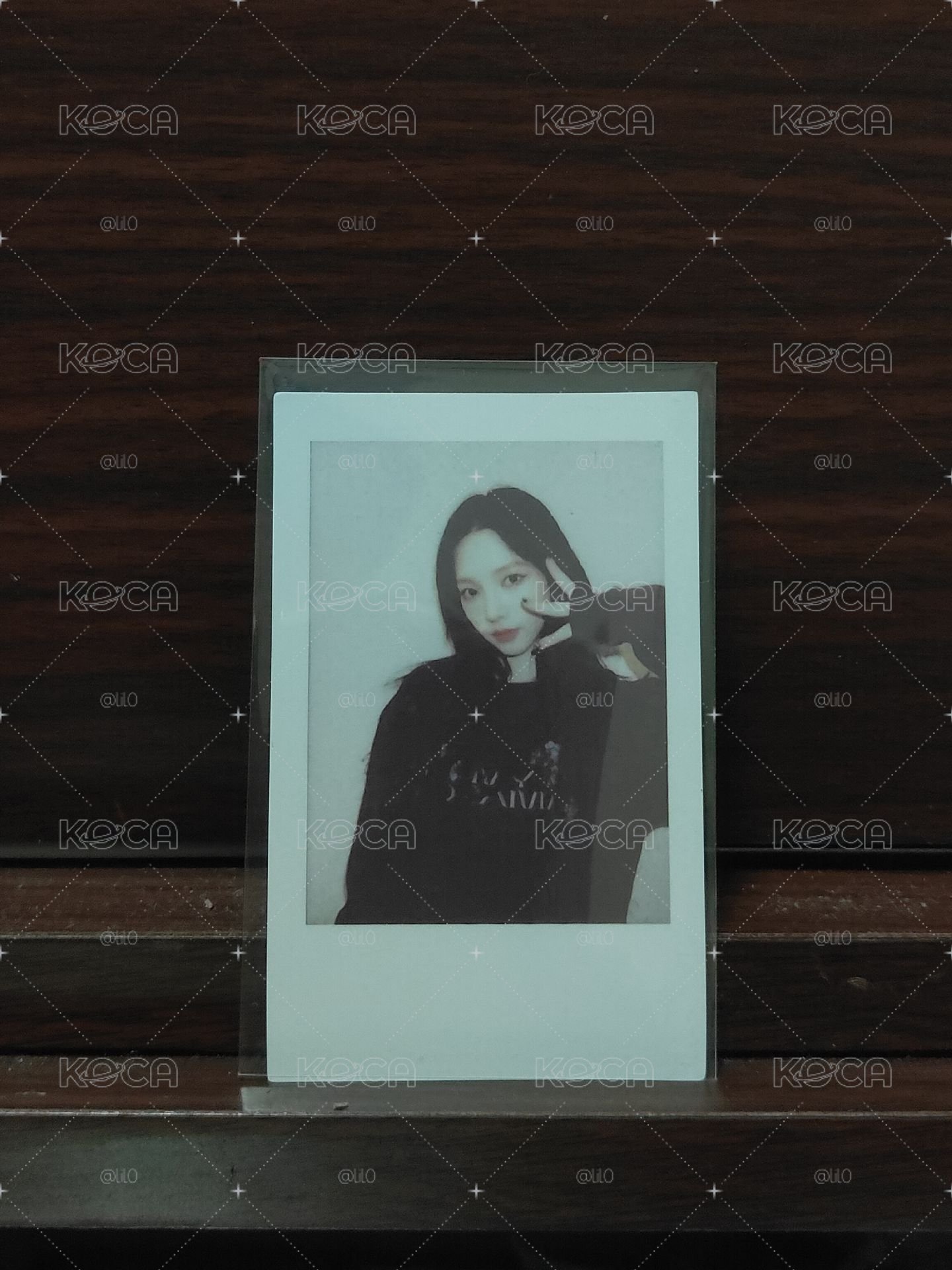 小貓柚拍ฅ⁠^⁠•⁠ﻌ⁠•⁠^⁠ฅ