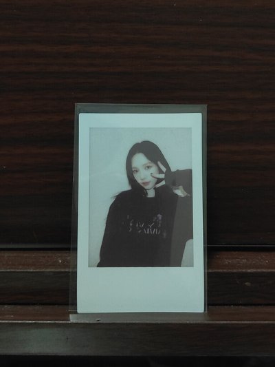 小貓柚拍ฅ⁠^⁠•⁠ﻌ⁠•⁠^⁠ฅ