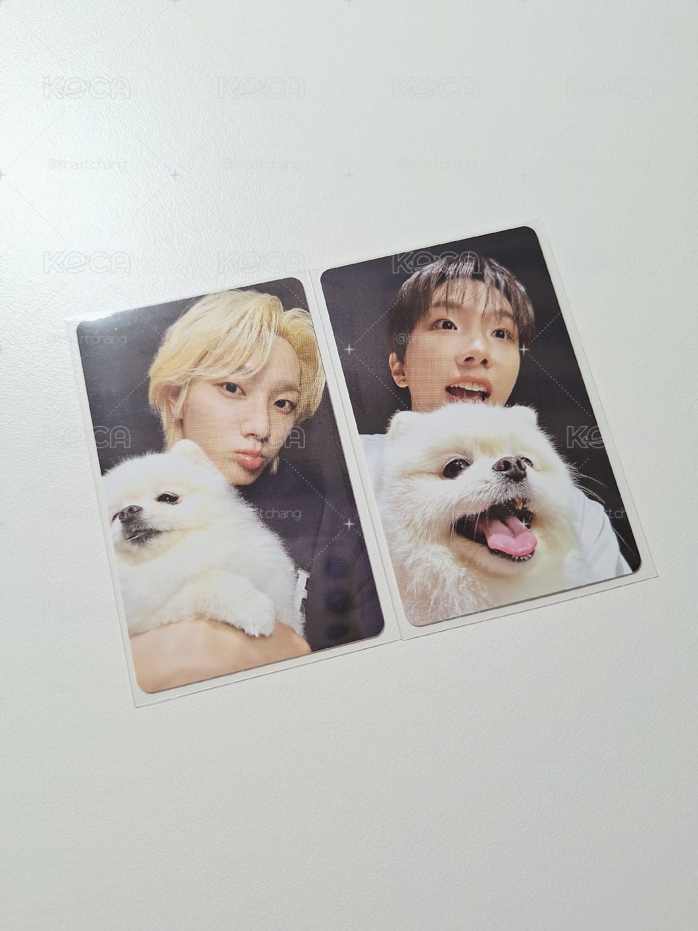 狗勾特典🐶