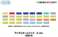 2025 SMT 30th 東京快閃 a版 姓名 隨機 徽章 