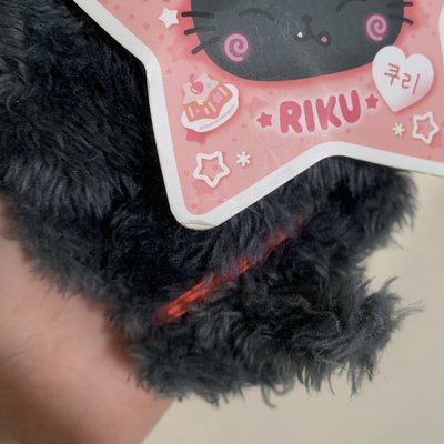kuri