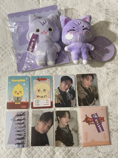 星小盤、傘小盤