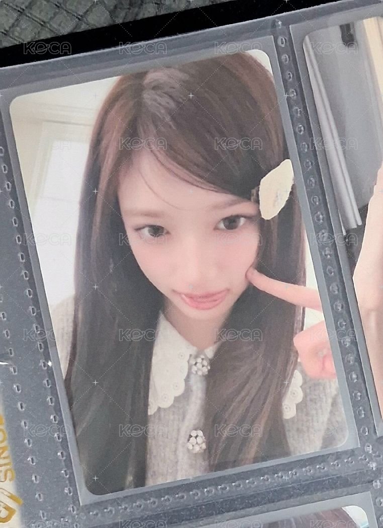共通瑞