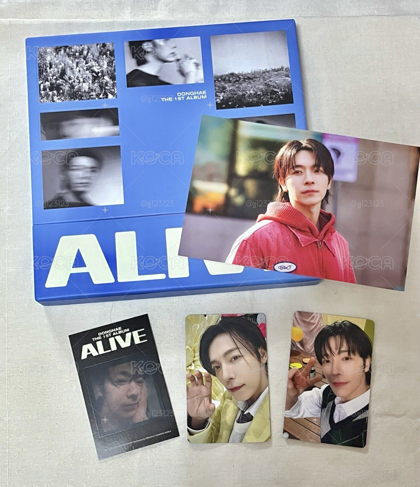 東海 Alive 全專
