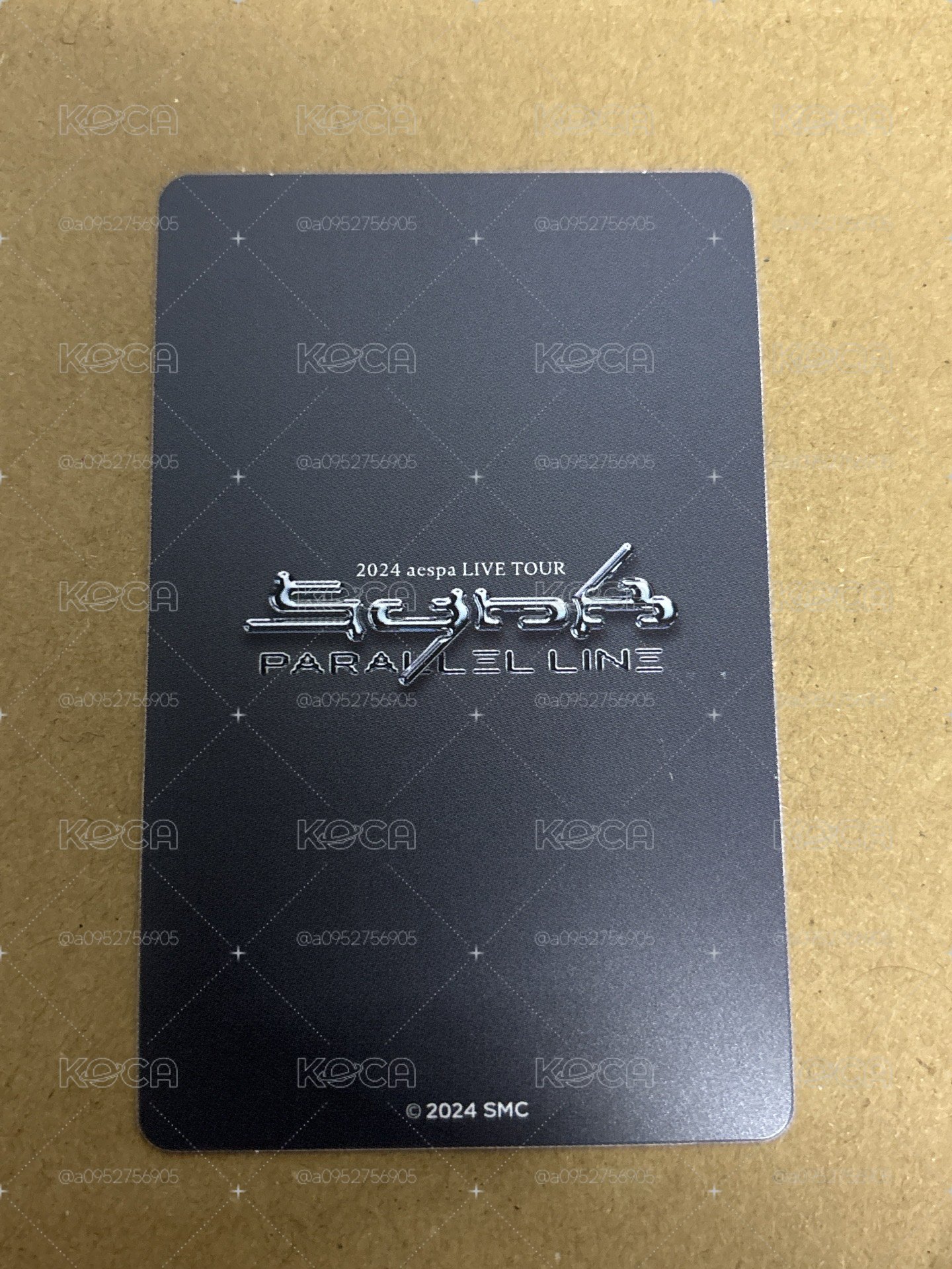 二巡 隨機卡 東蛋柚
