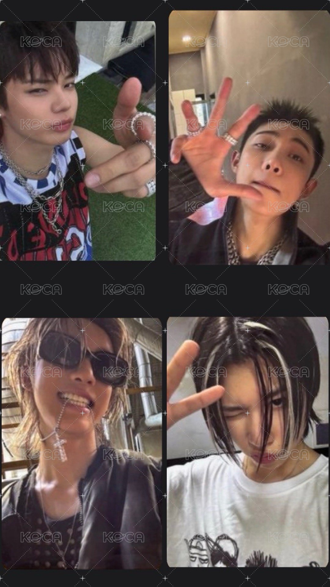 4隻蝦