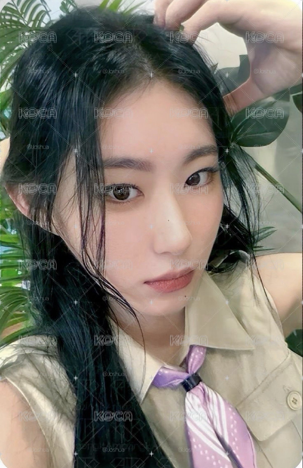 彩領卡
