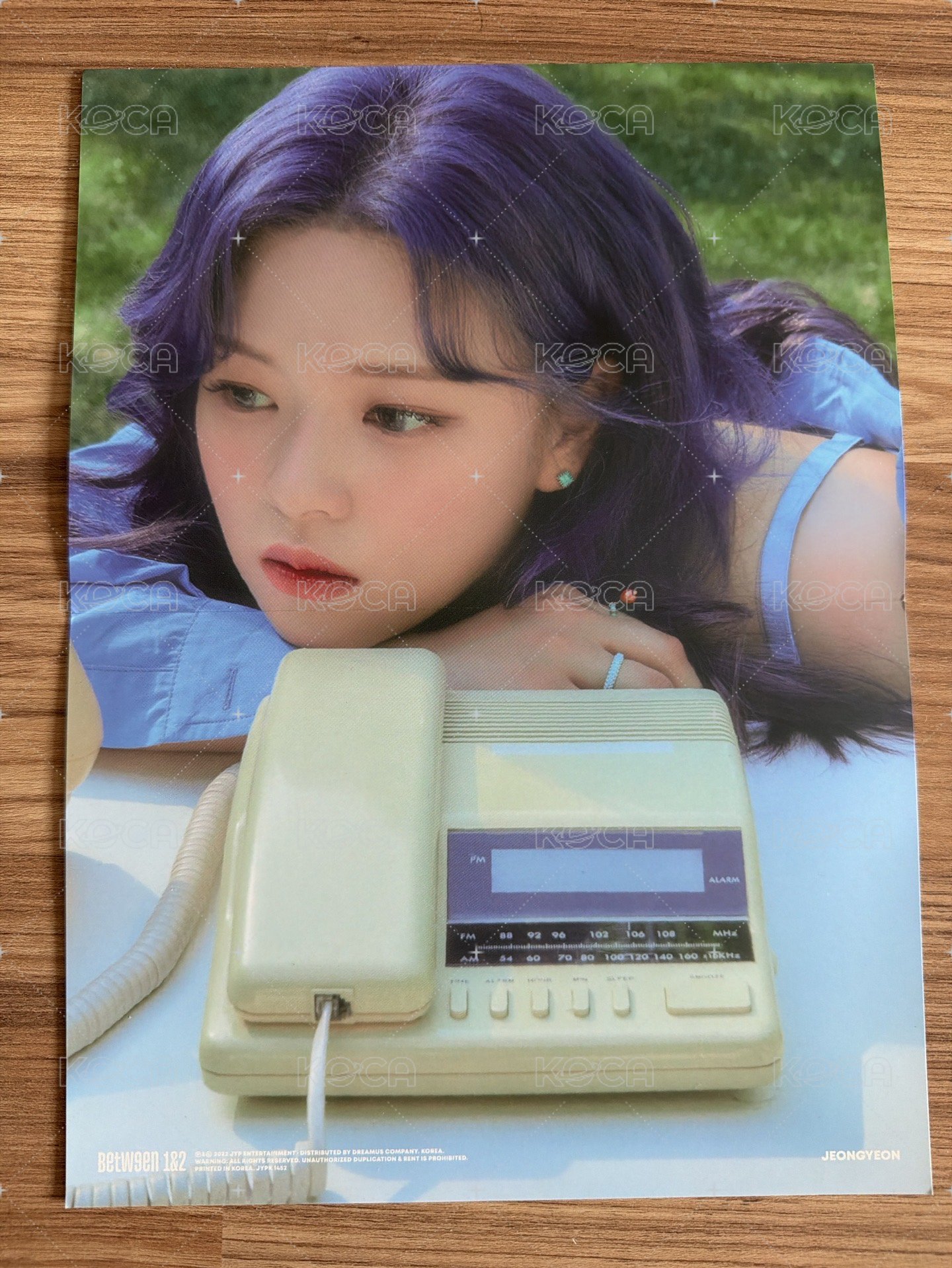定延海報