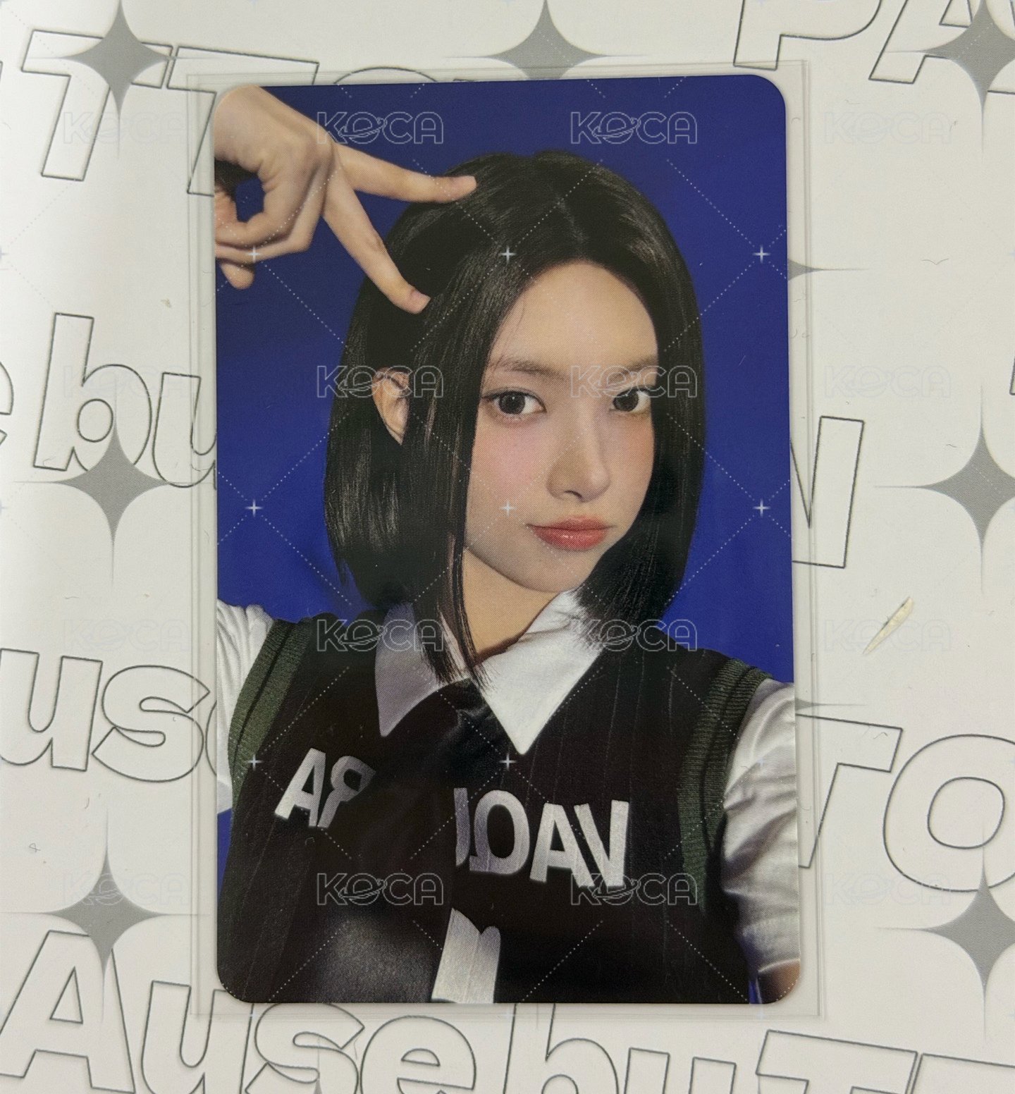 wm幸運 短髮小貓