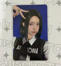 wm幸運 短髮小貓