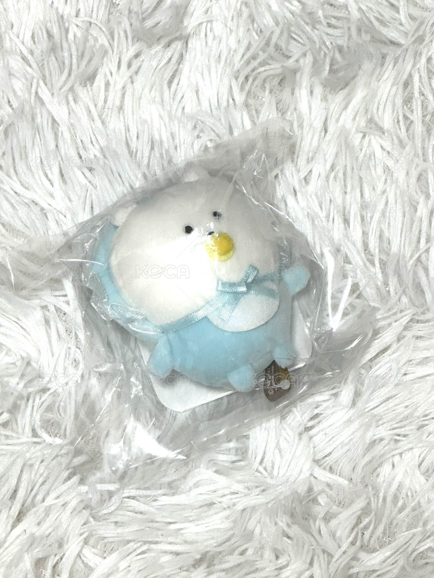瞌睡眼寶寶熊(現貨)