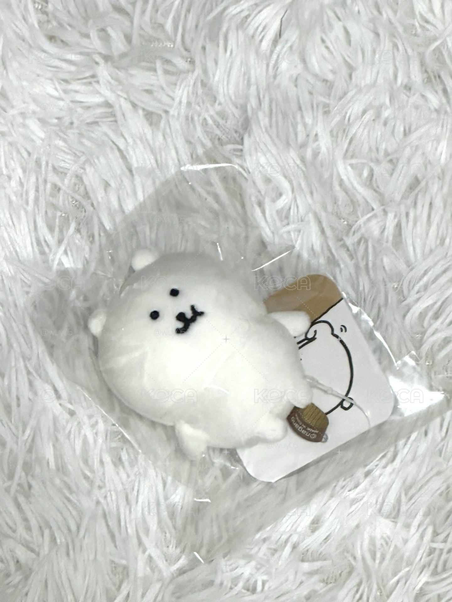 咀嚼熊（現貨）