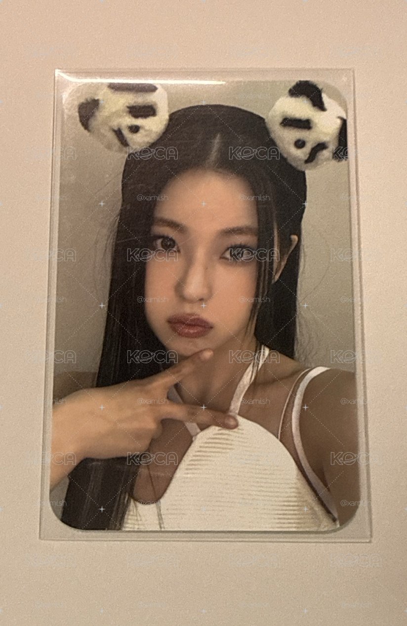 熊貓圭