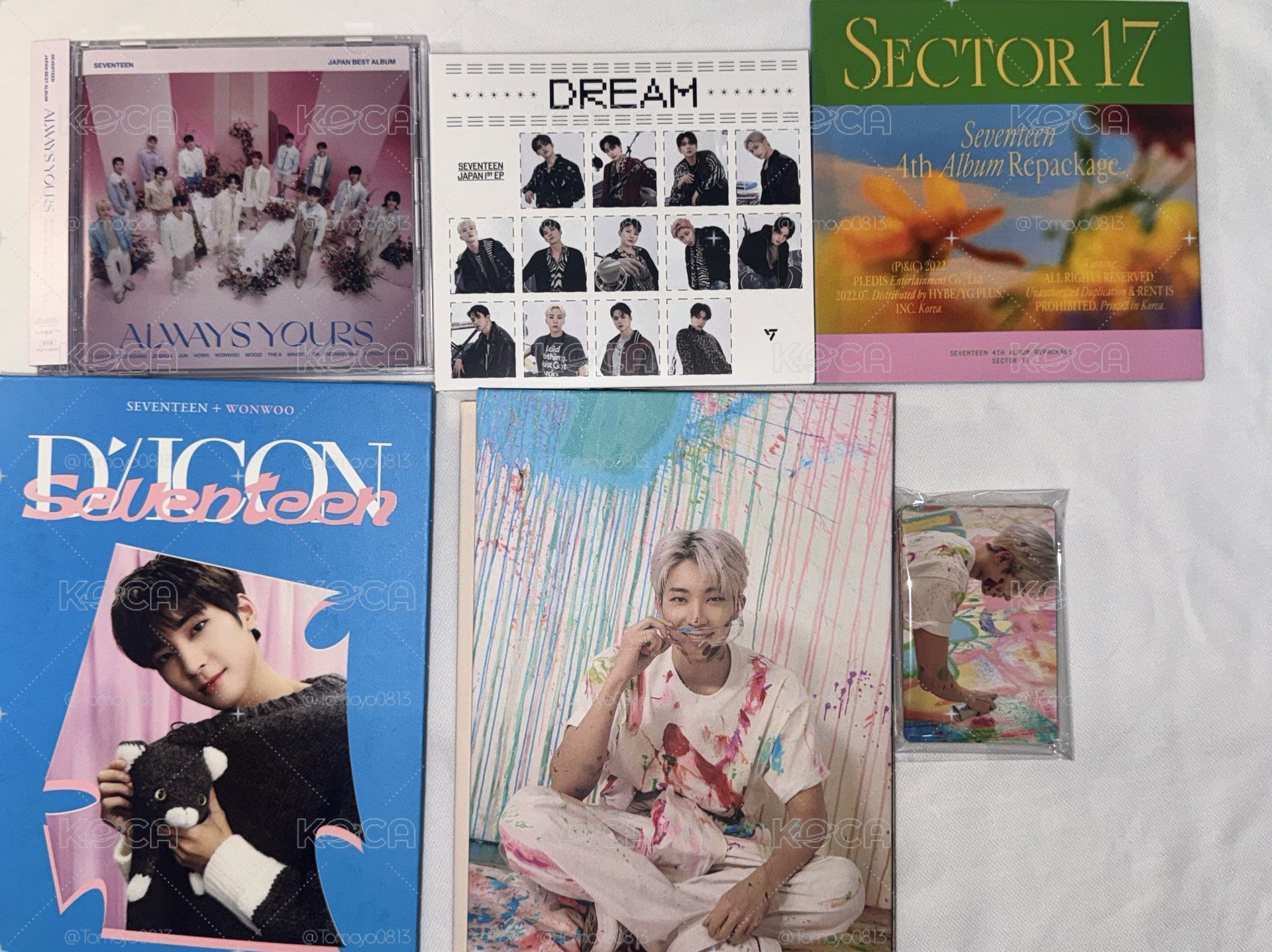 Seventeen 會員禮 蹦蹦娃卡盤