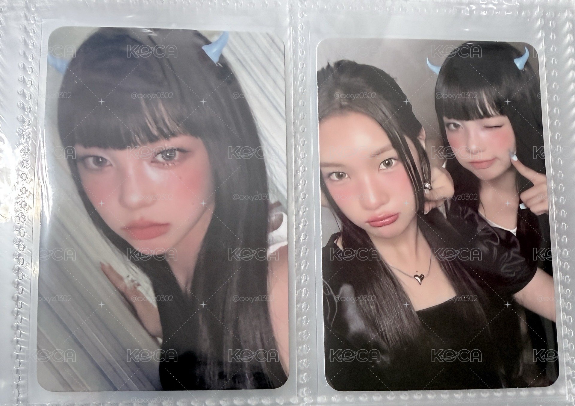 focus 專卡