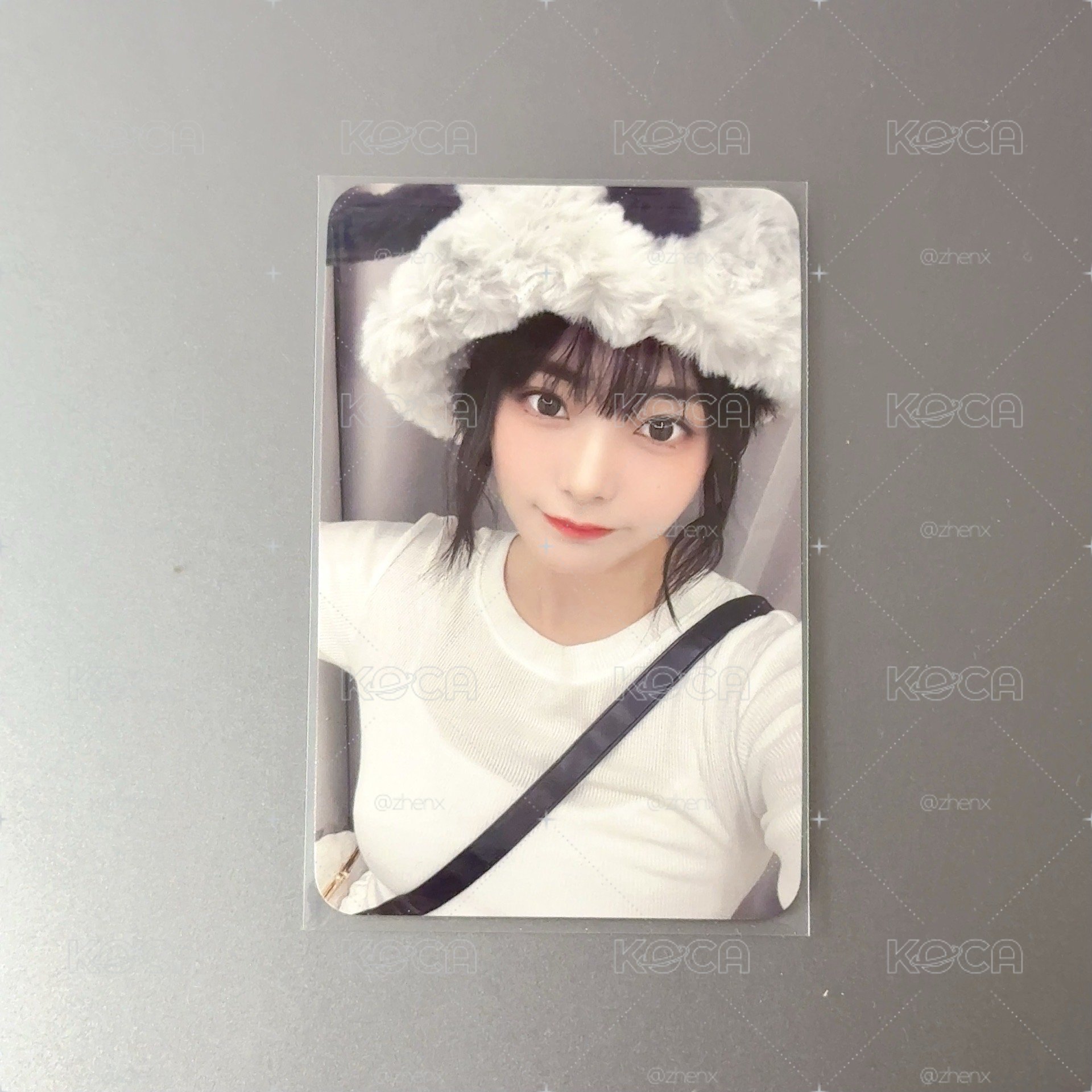小狗帽燕