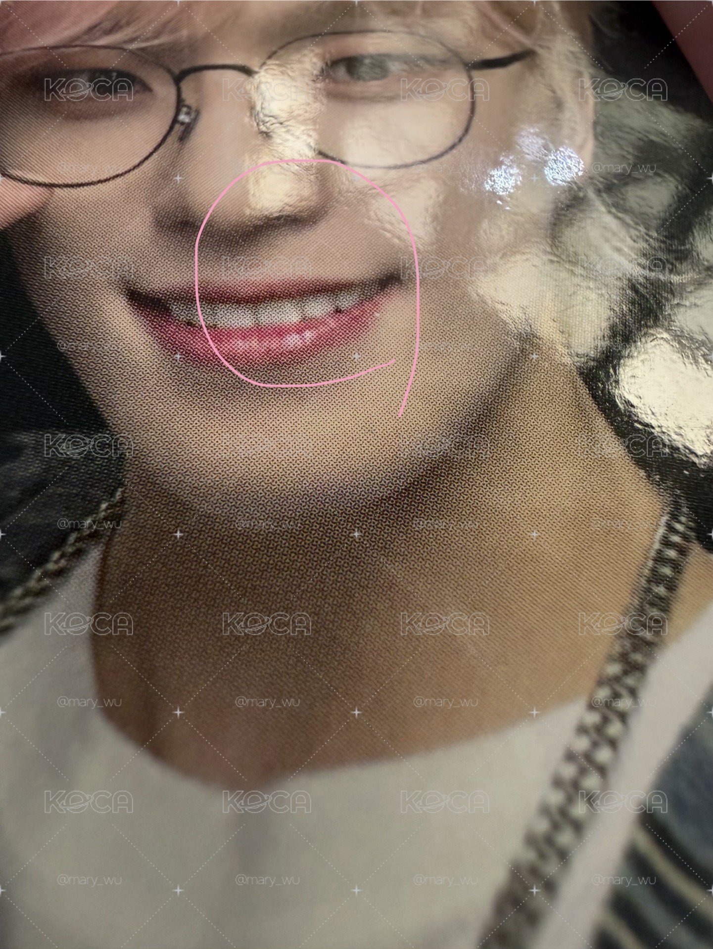 seventeen Dino