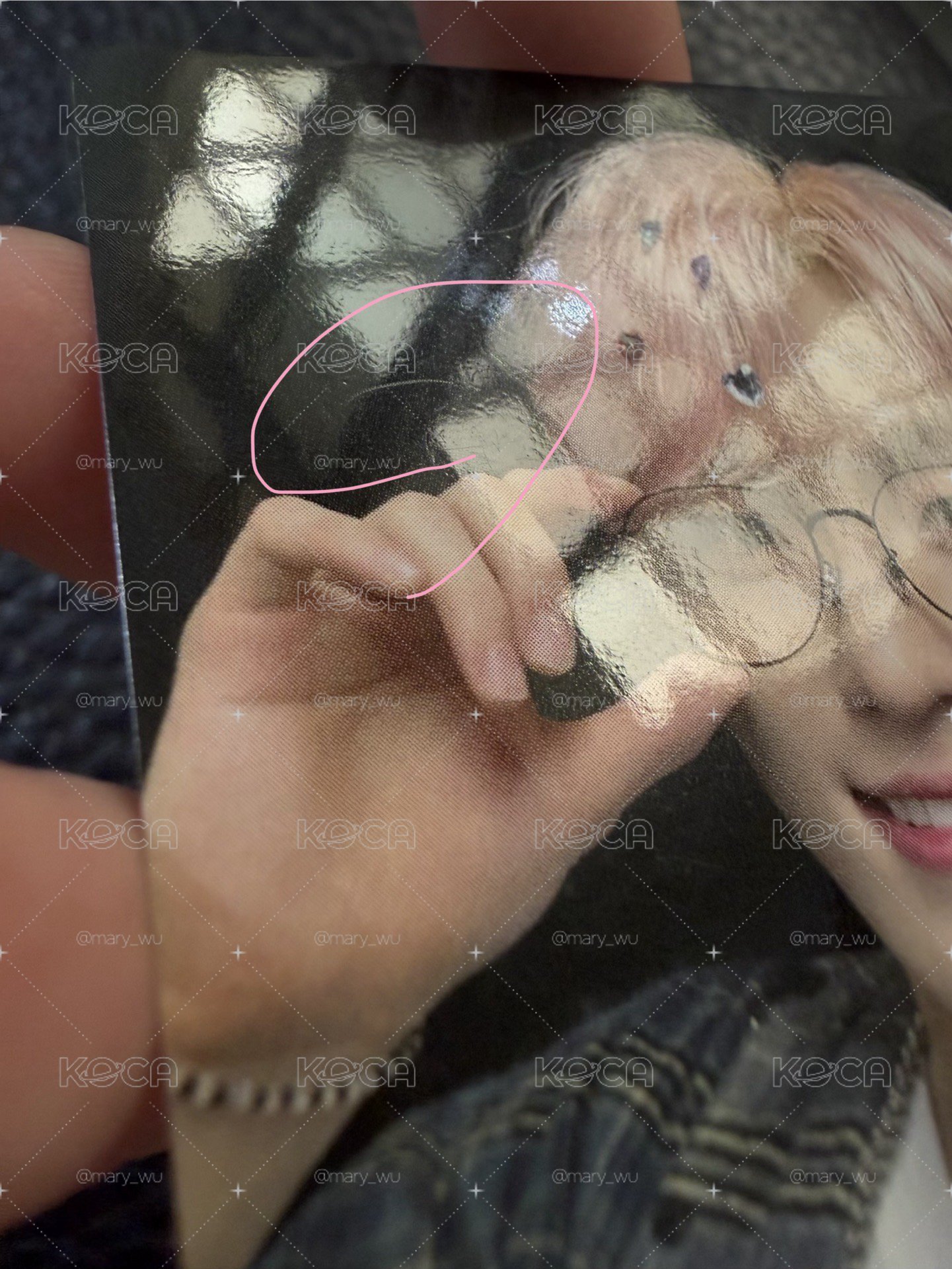 seventeen Dino