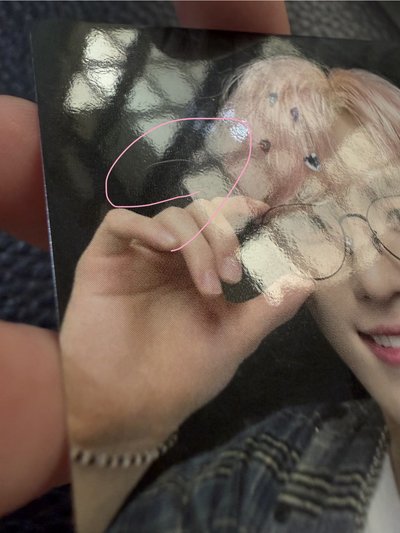seventeen Dino