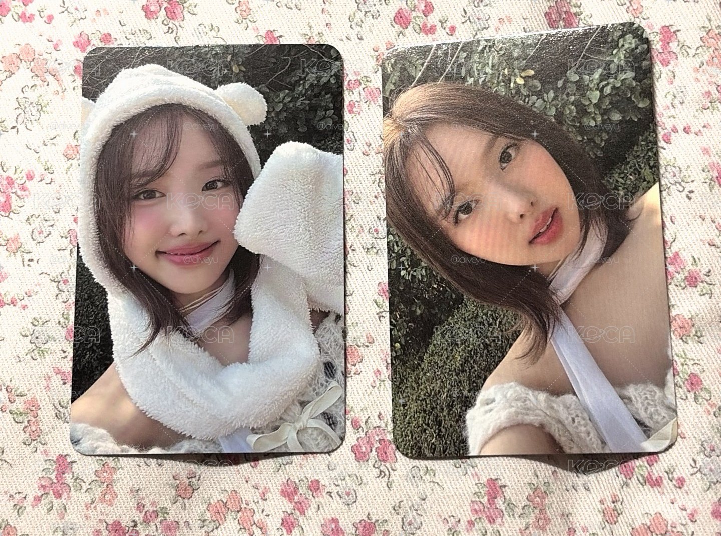 熊帽&草地娜🍀