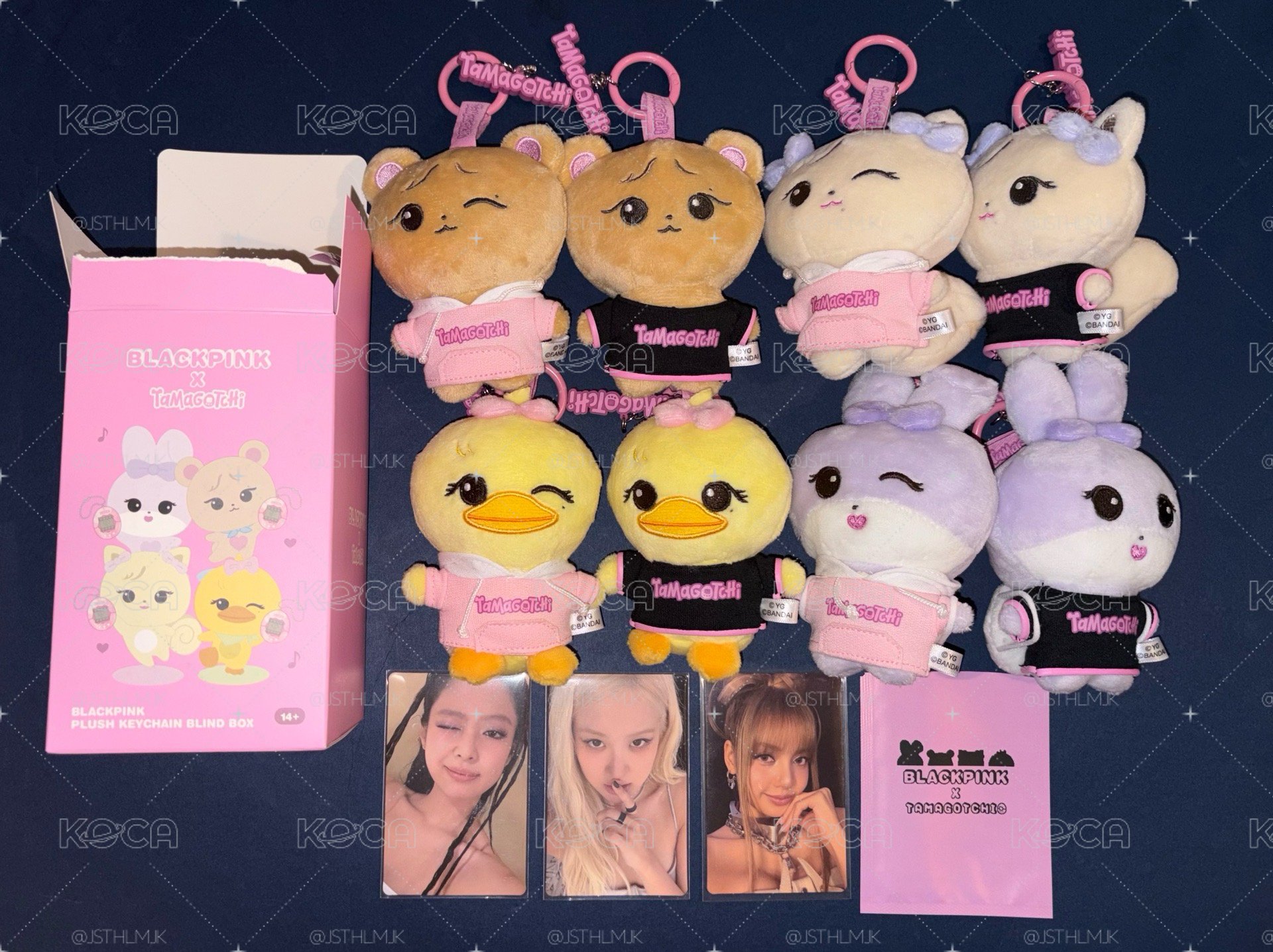 BLACKPINK塔麻可吉 盲盒娃 滿額卡