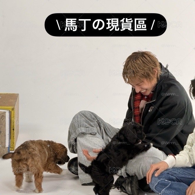 迷二-馬丁卡專區🐕‍🦺｜現貨