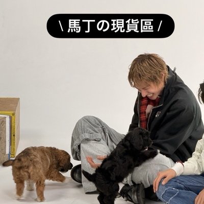 迷二-馬丁卡專區🐕‍🦺｜現貨
