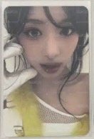打歌賢