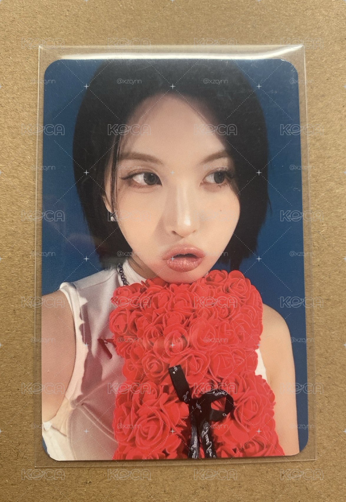 玫瑰熊 裴