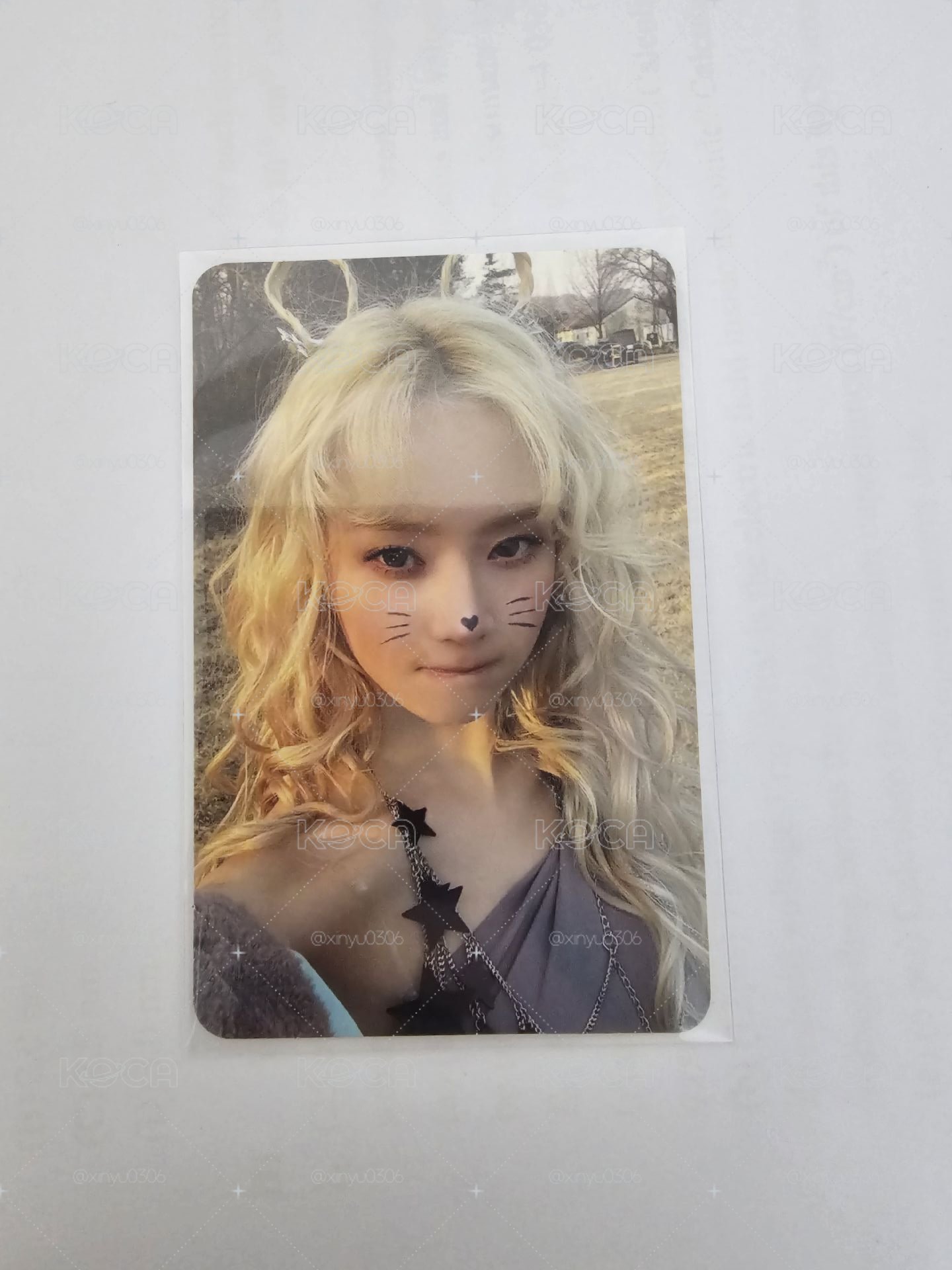 正規一 專輯卡 ZINE版冬 貓咪冬