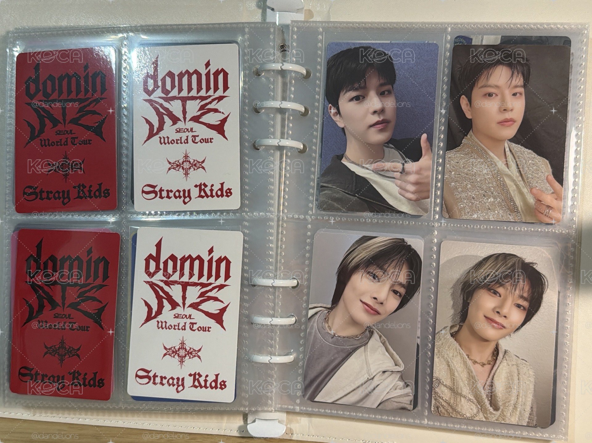 🌙DVD專卡+特典