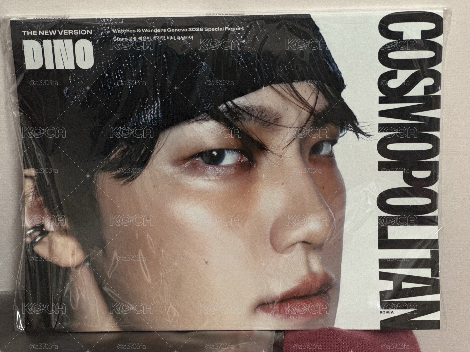 雜誌B 