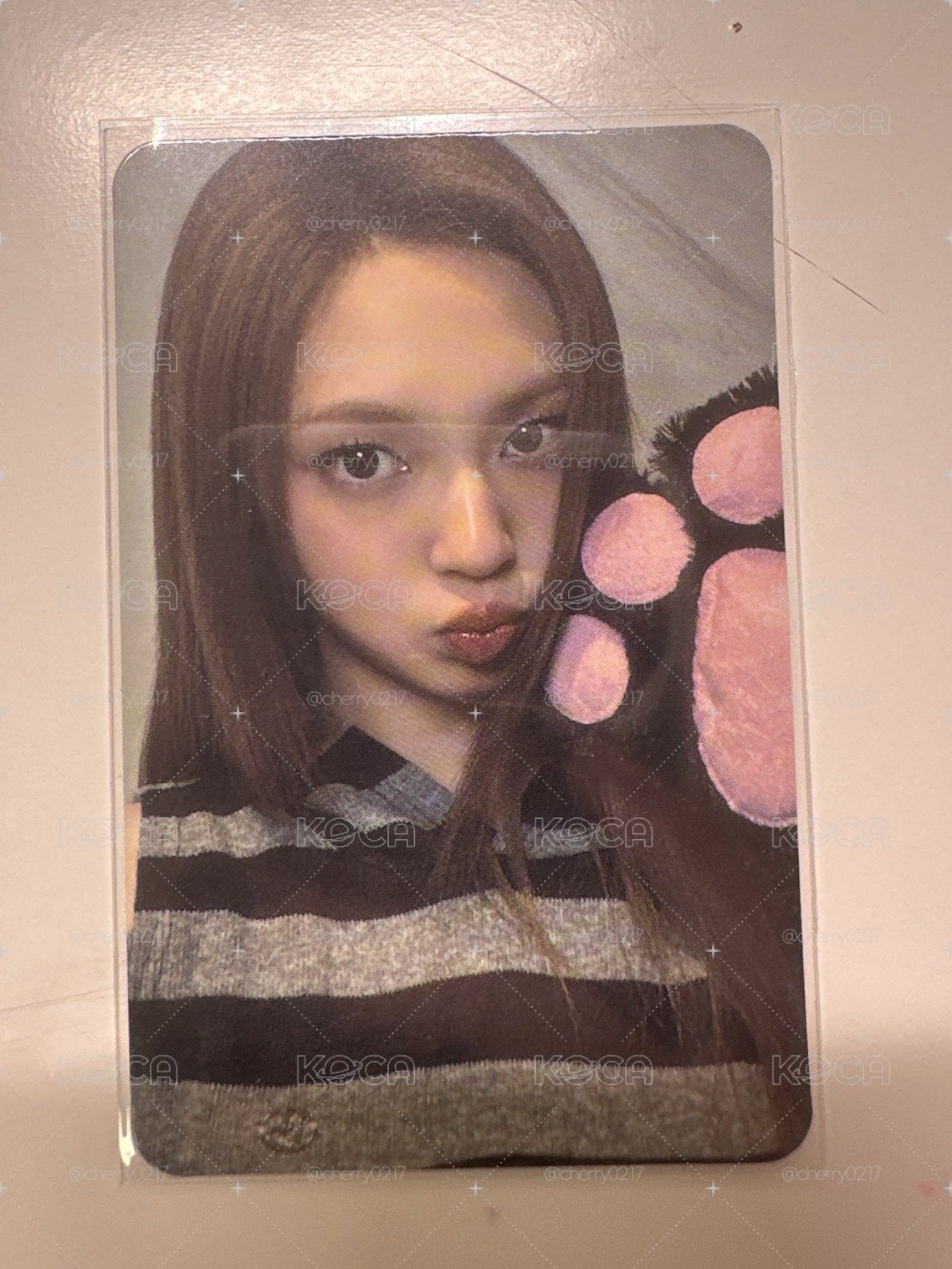 貓爪柒
