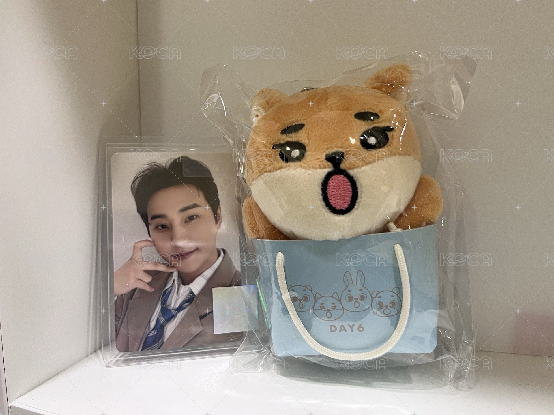 KE🦊日周袋子娃+線上滿額卡