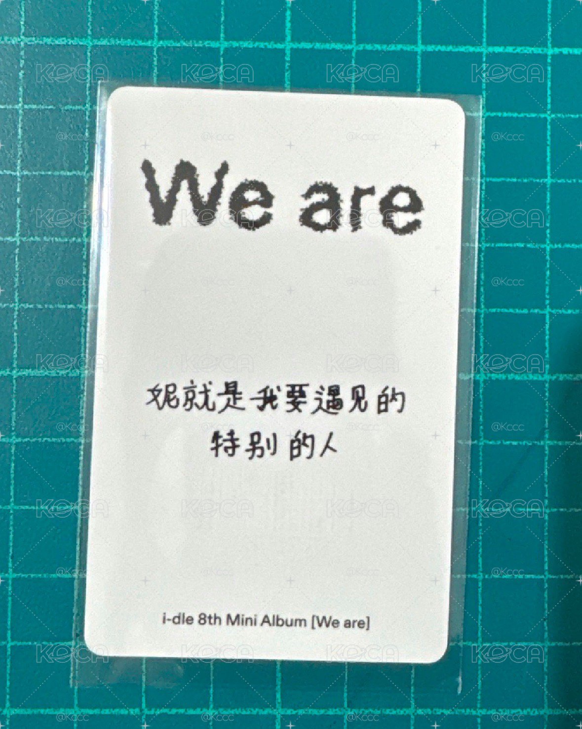 迷八kms1.0中背妮