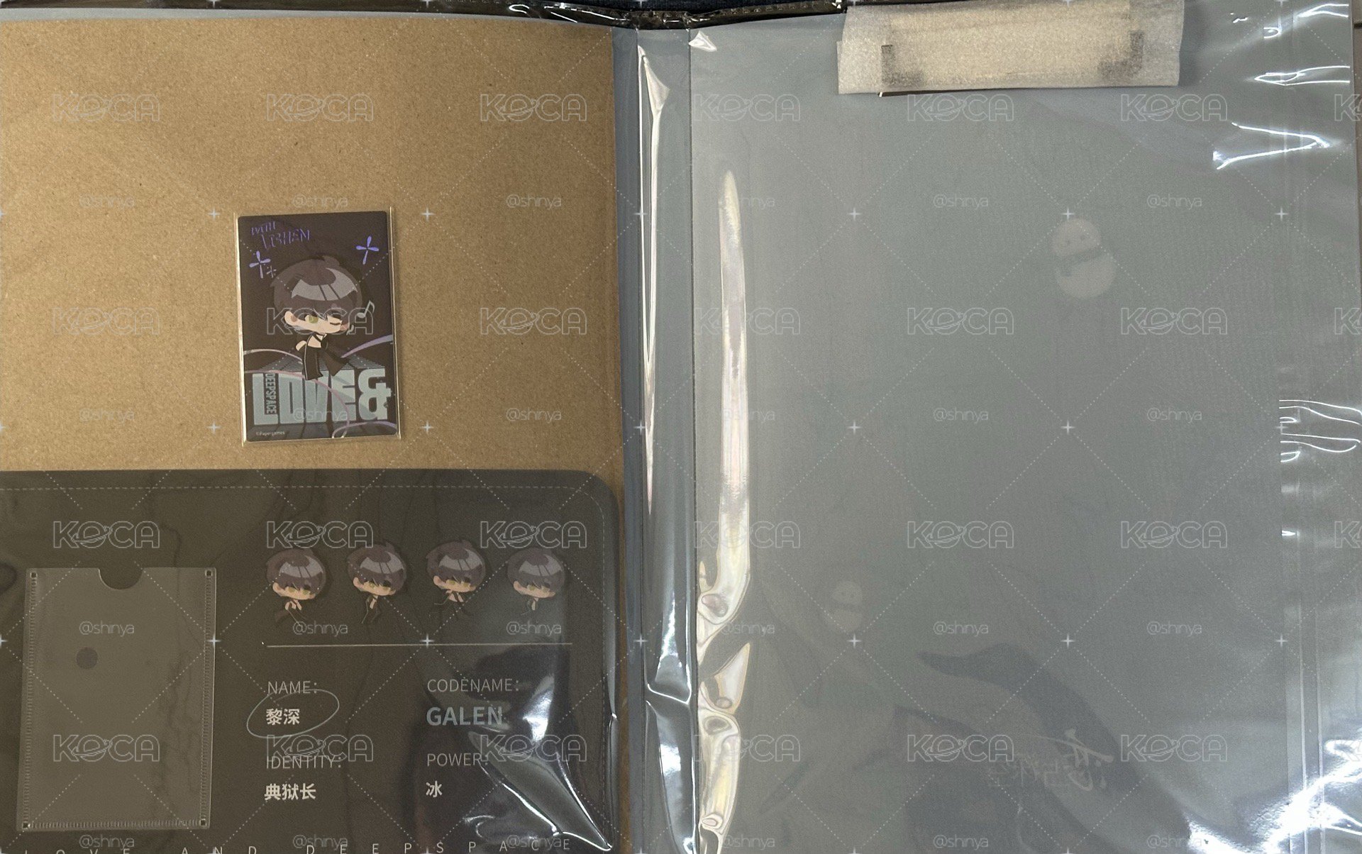 戀與深空 黎深 追蹤禁區 檔案夾