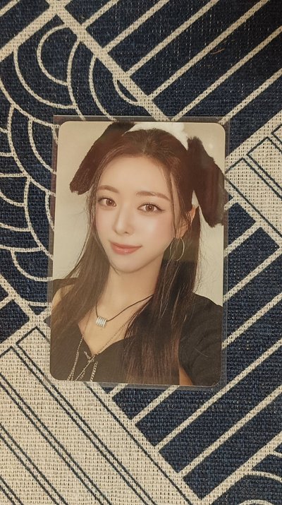itzy 小狗中背娜